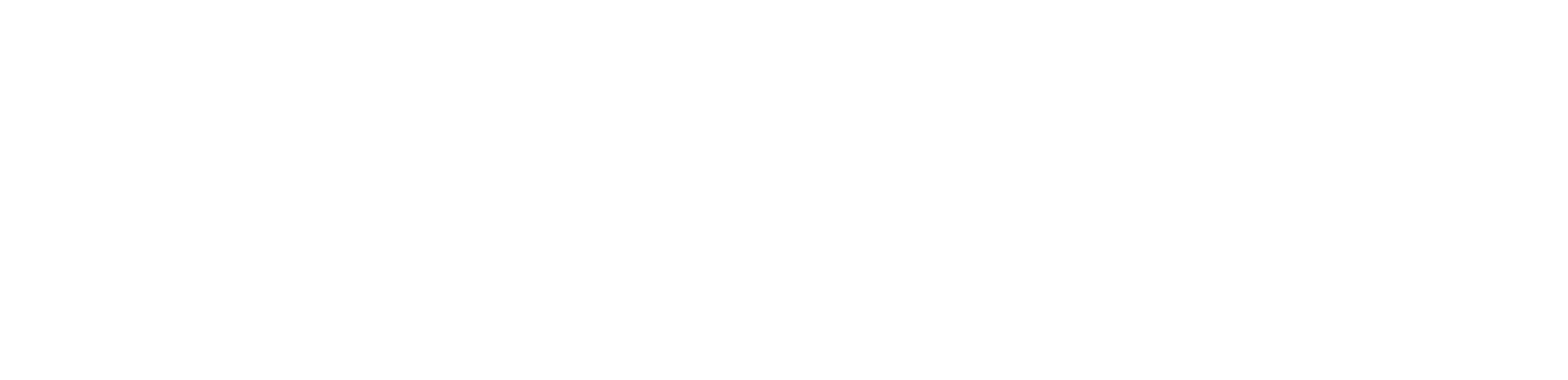 Yan-Emirpet-logo-bayaz
